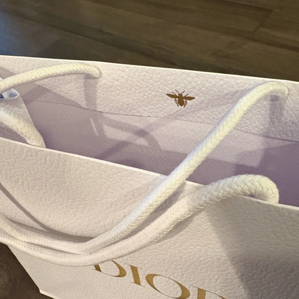 Dior Pebbled Bags from Nordstrom Roosevelt Field in Long Island, New York ~ New - Picture 7 of 7